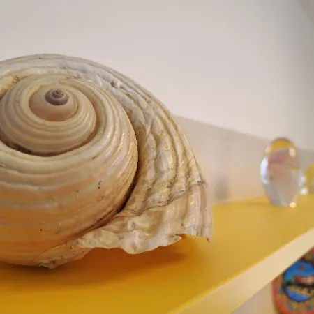 Cristalex & Mamaia Nord